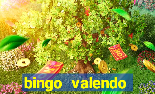 bingo valendo dinheiro online