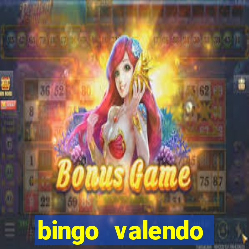 bingo valendo dinheiro online