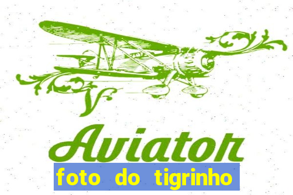 foto do tigrinho do jogo