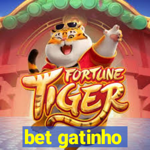 bet gatinho