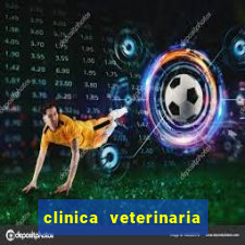 clinica veterinaria cuidar betim