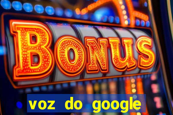 voz do google tradutor homem