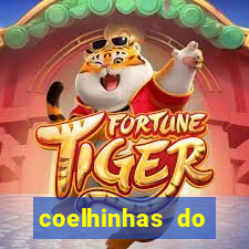 coelhinhas do brasil acompanhantes