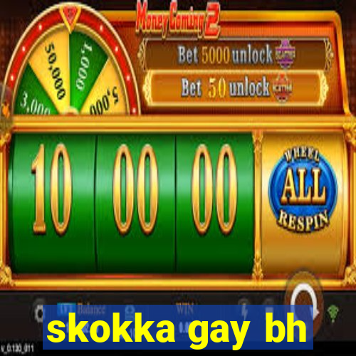 skokka gay bh