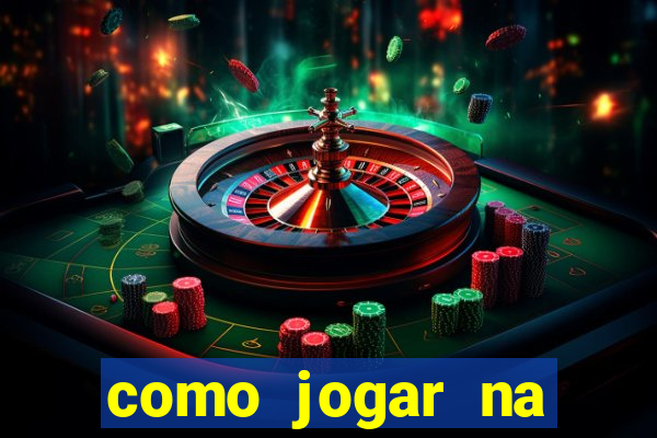 como jogar na lotinha do jogo do bicho