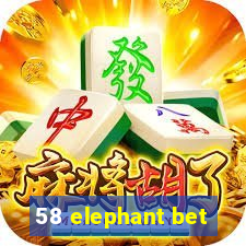 58 elephant bet