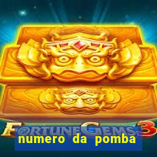 numero da pomba jogo do bicho