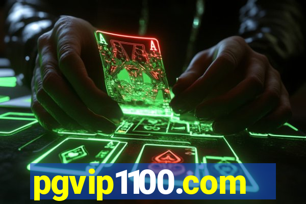 pgvip1100.com