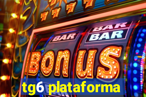 tg6 plataforma