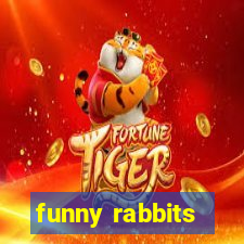 funny rabbits