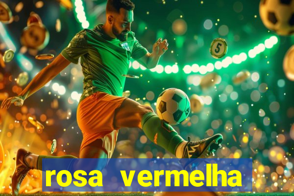 rosa vermelha (letra e cifra)