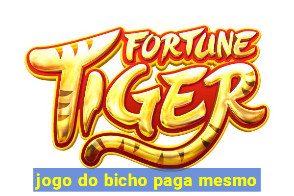 jogo do bicho paga mesmo