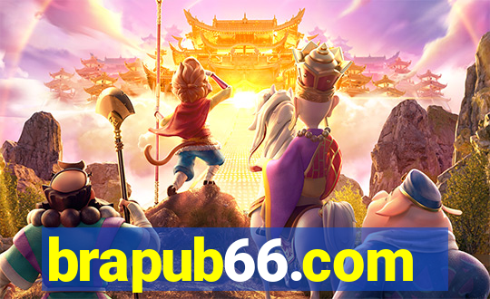 brapub66.com