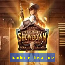 banho e tosa juiz de fora