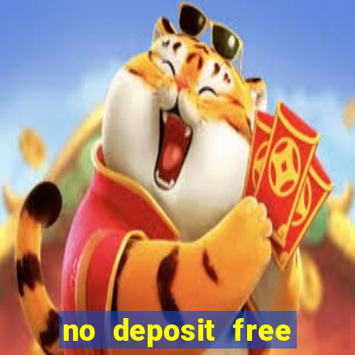 no deposit free bingo bonus