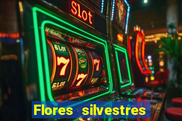 Flores silvestres brasileiras brasileiras flores silvestres nomes e imagens