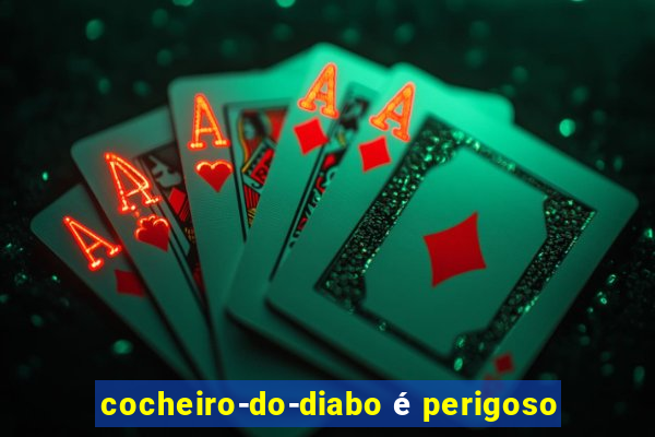 cocheiro-do-diabo é perigoso