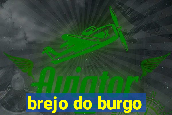 brejo do burgo