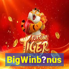 BigWinb?nus