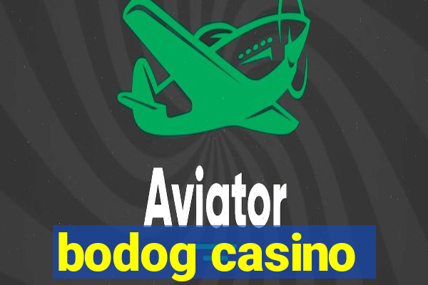 bodog casino