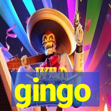 gingo