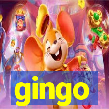 gingo