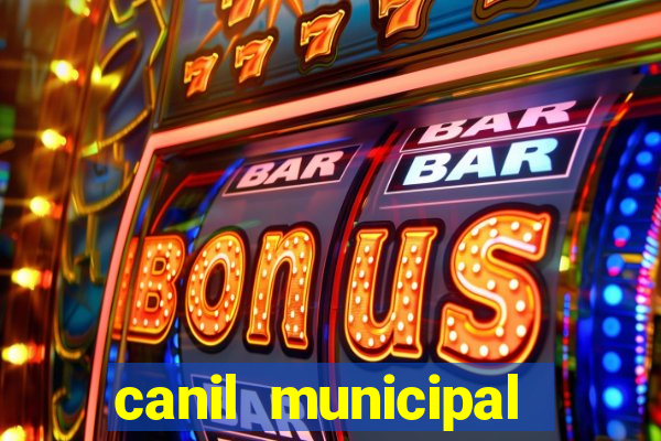 canil municipal porto alegre