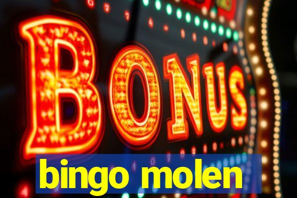 bingo molen