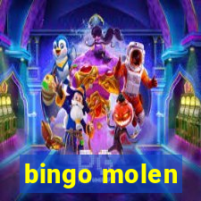 bingo molen