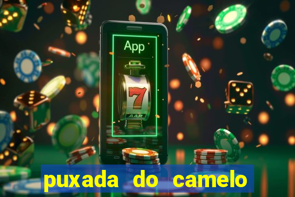 puxada do camelo jogo do bicho