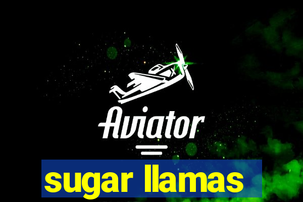 sugar llamas