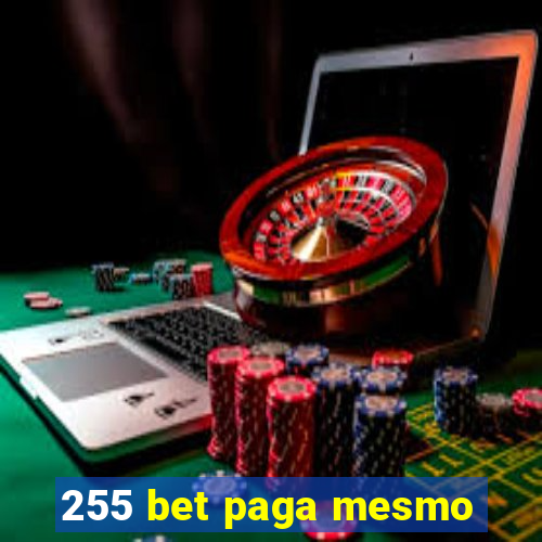 255 bet paga mesmo