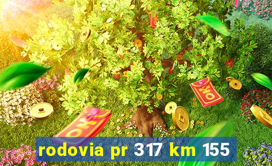 rodovia pr 317 km 155