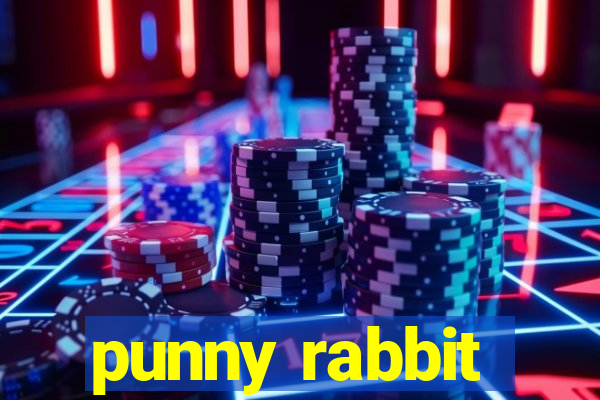 punny rabbit