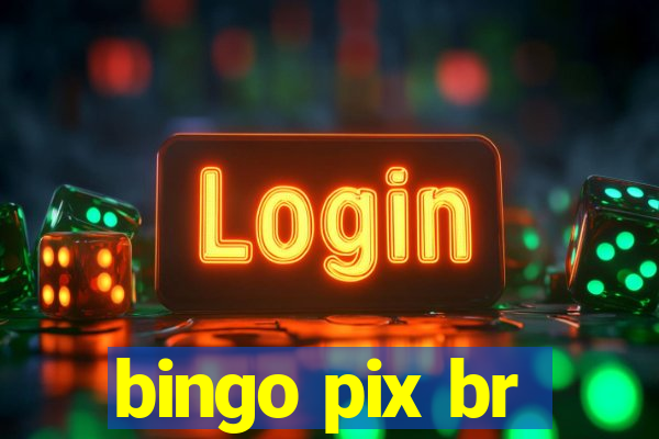 bingo pix br