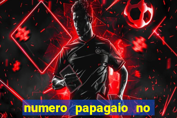 numero papagaio no jogo do bicho