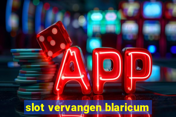 slot vervangen blaricum