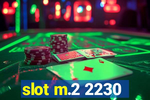 slot m.2 2230