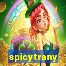 spicytrany