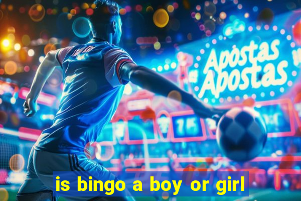 is bingo a boy or girl