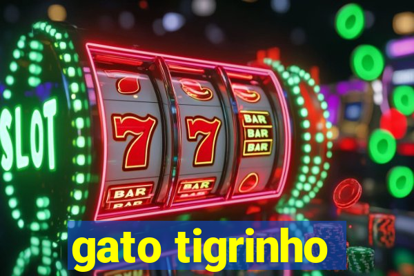 gato tigrinho