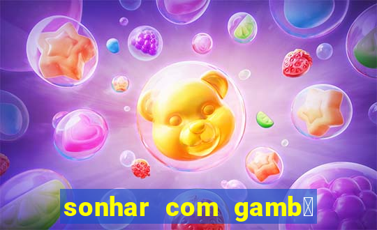 sonhar com gamb谩 jogo do bicho