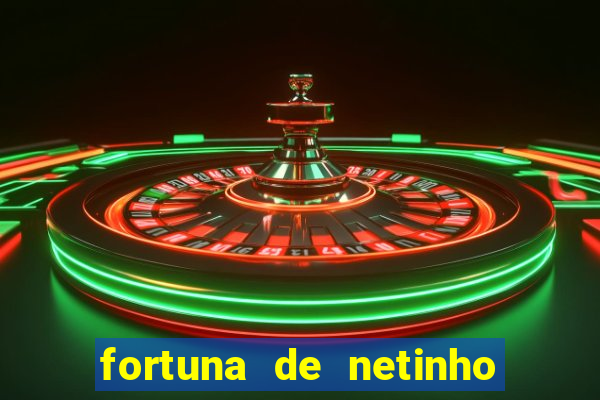 fortuna de netinho de paula