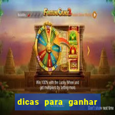 dicas para ganhar no fortune rabbit