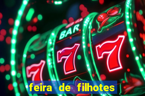 feira de filhotes porto alegre