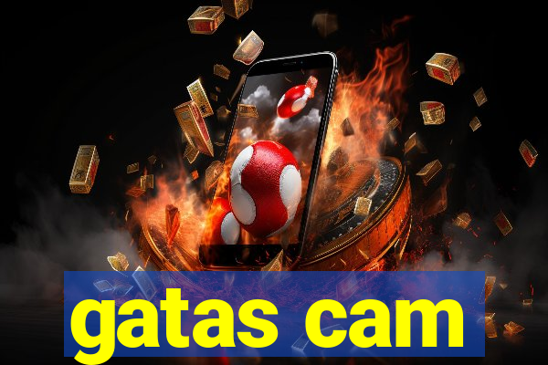 gatas cam