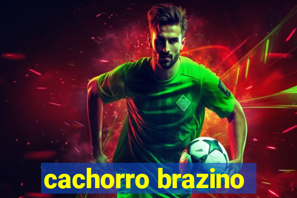 cachorro brazino
