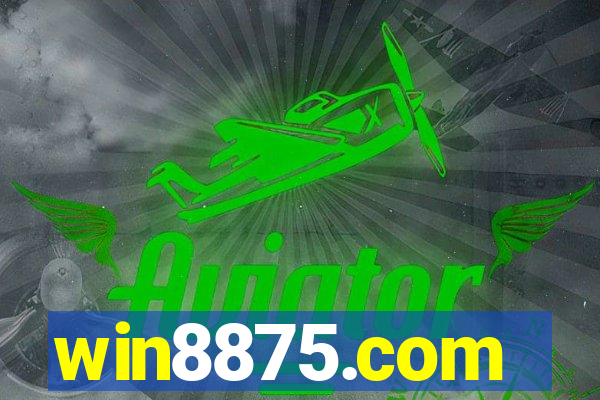 win8875.com